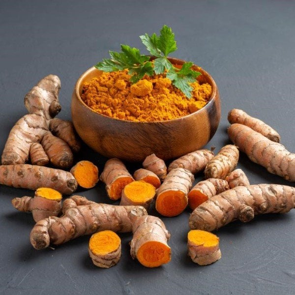 Zerdeçal (Curcuma Longa) Fidesi -2 Adet