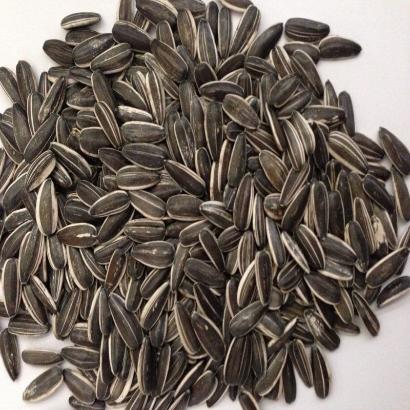 Doğal Siyah Çerezlik Çitlemelik Ayçiçeği Çekirdek Tohumu (1 KG)