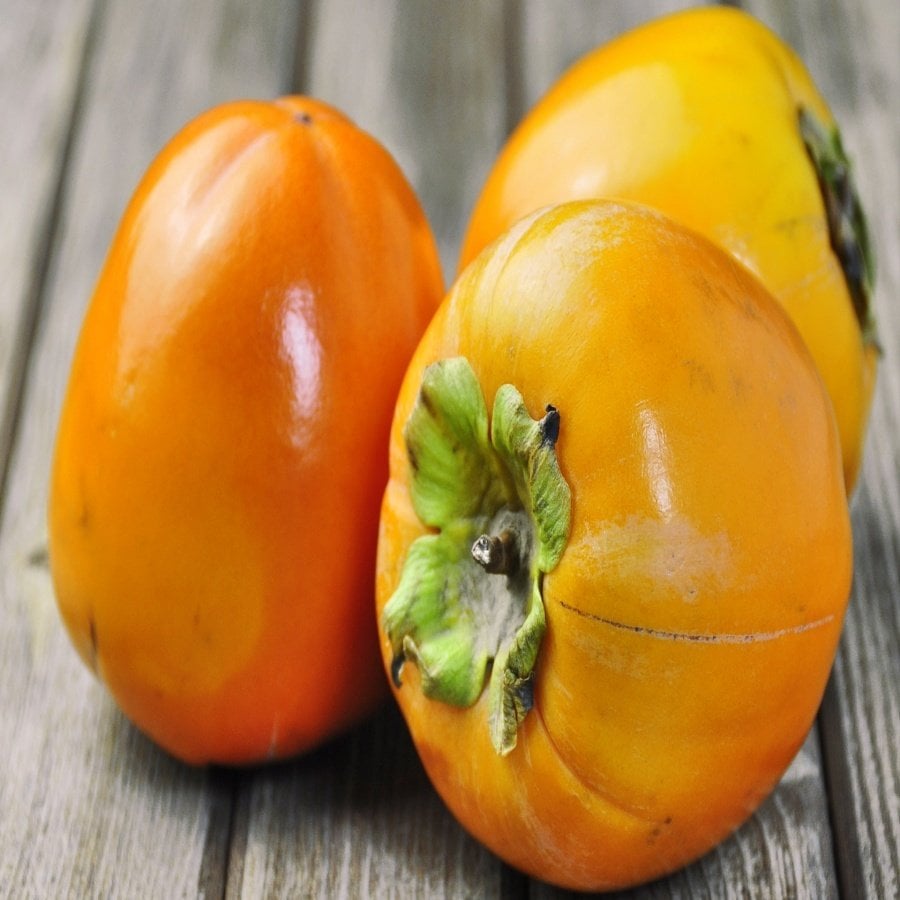 Tüplü Bekletilmeden Yenen Hanna Fuyu Trabzon Hurması Fidanı