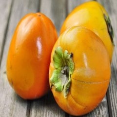 Tüplü Bekletilmeden Yenen Hanna Fuyu Trabzon Hurması Fidanı