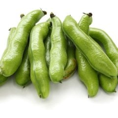Büyük Taneli Bakla Fidesi-5 Adet