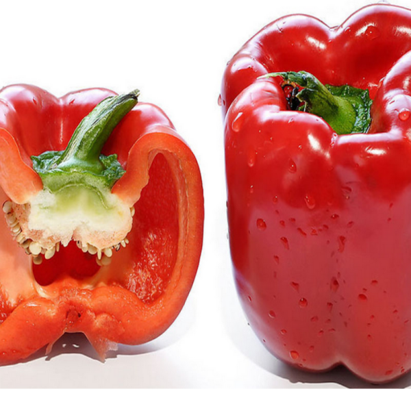 Doğal İri Kırmızı Dolmalık Biber Tohumu (20 tohum)