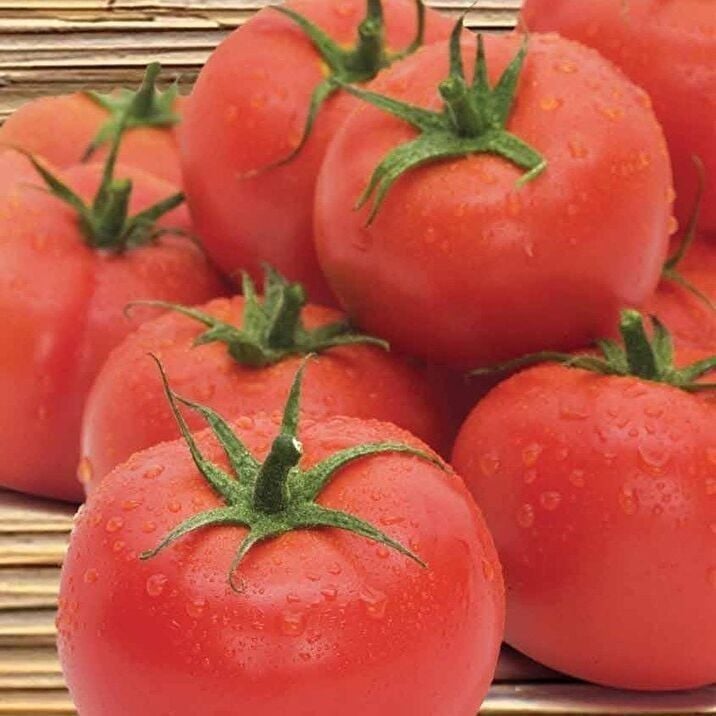 Geleneksel İnce Kabul Etli 2274 Domates Tohumu (50 tohum)