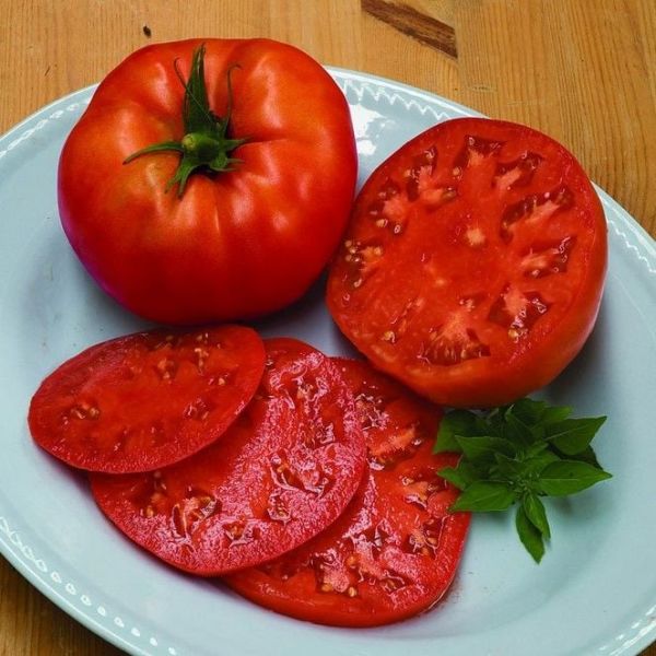 Beef f1  Sırık Kahvaltılık Etli Domates Tohumu (10 tohum)