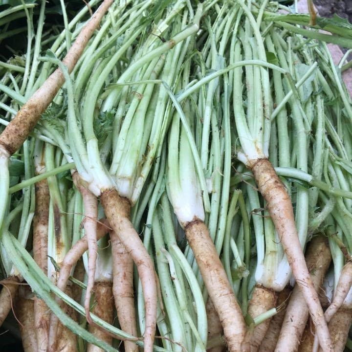 Doğal Şevketi Bostan Otu Tohumu(5 Adet)