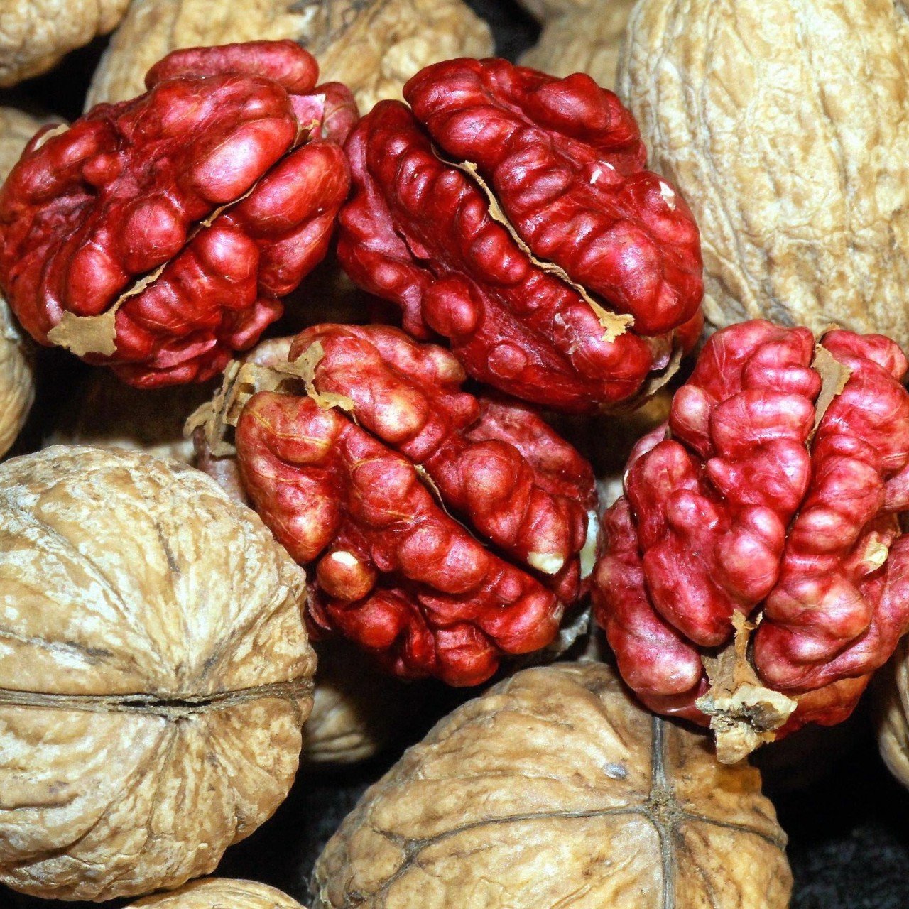 Açık Kök Özel Üretim Kırmızı Ceviz Fidanı (10 Adet)