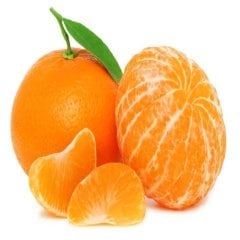 Tüplü Parlak Meyveli Fremont Mandalina Fidanı