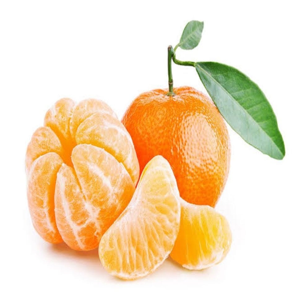 Tüplü Çekirdeksiz Ovari Mandalina Fidanı