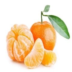 Tüplü Çekirdeksiz Ovari Mandalina Fidanı