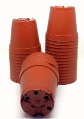 Ufak Üretim Saksıları 5.5 cm-1000 Adet