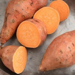 Tatlı Patates İpomea Batatus Erato Deep Fidesi (3 adet)