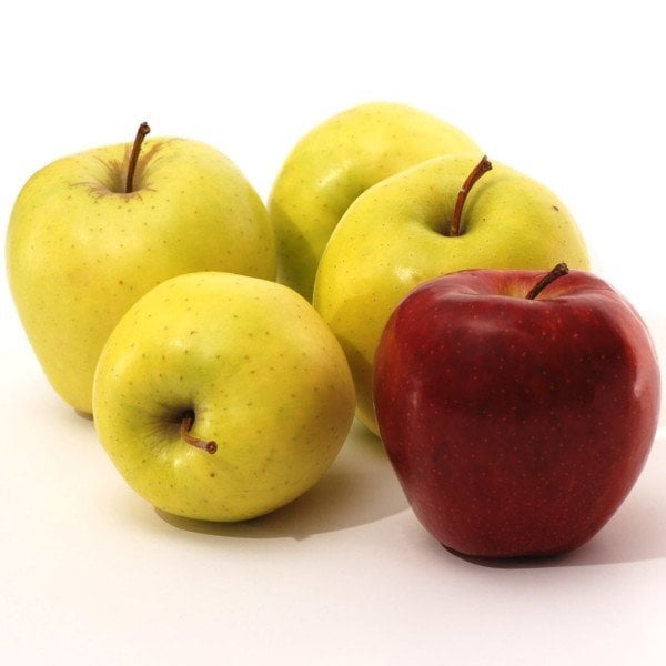 Tüplü Red Chief ve Golden Çift Aşılı Sarmal Elma Fidanı(3-4 yaş)