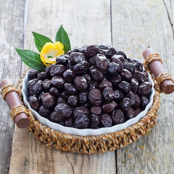 Meyve Verme Durumunda Saksıda Bodur Tipte Zeytin Fidanı 20-30 Yaş Zeytin Fidanı