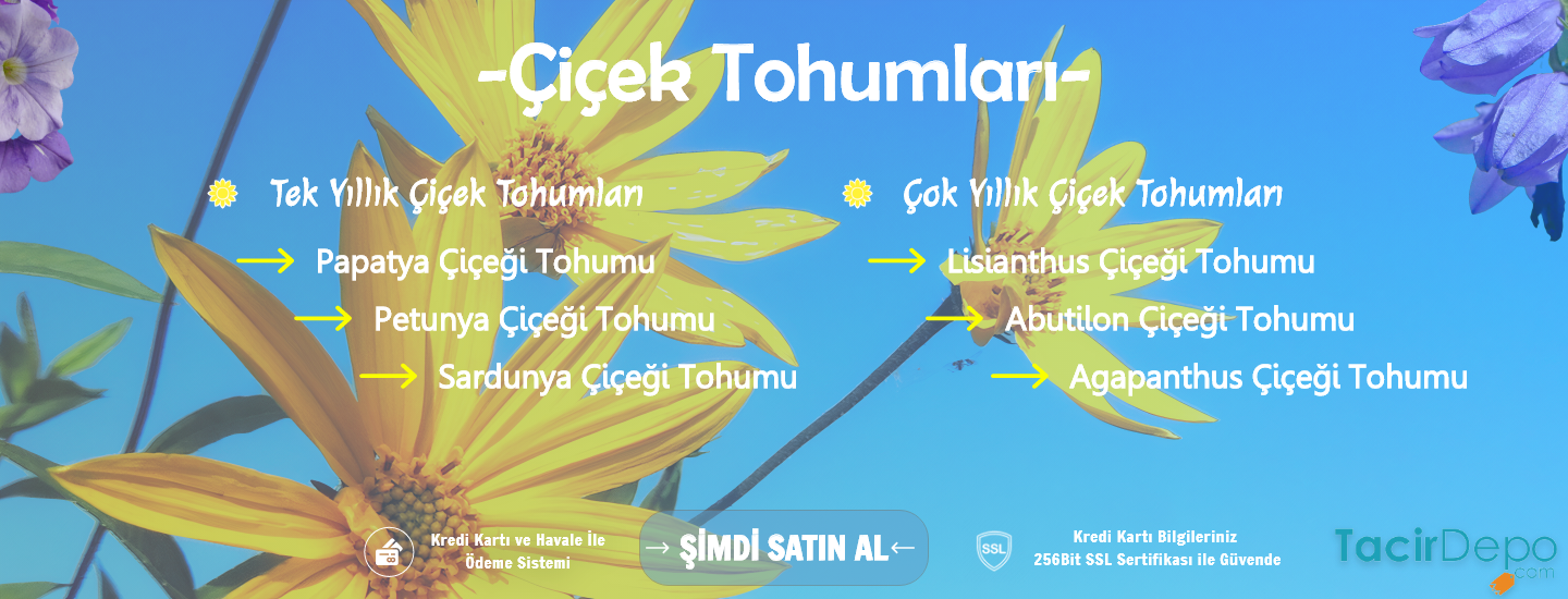 Çiçek Tohumları